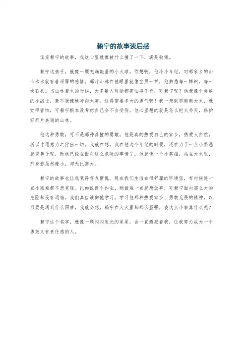 赖宁的故事读后感