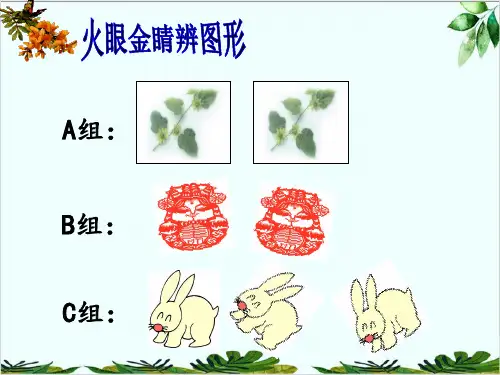 人教版八年级数学上册全等三角形精品课件PPT