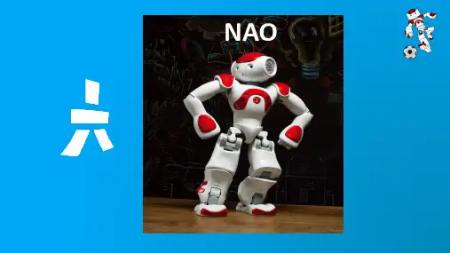 NAO介绍