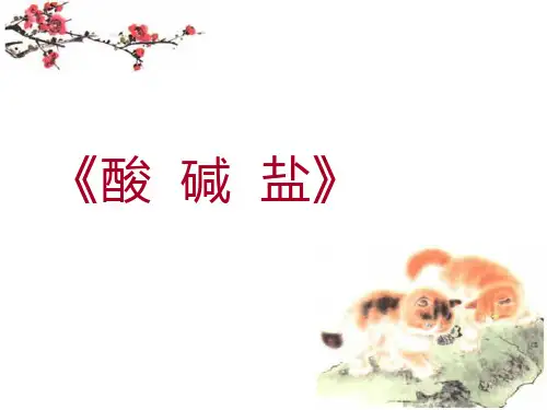 酸碱盐复习课省名师优质课赛课获奖课件市赛课一等奖课件
