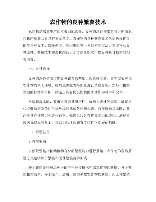 农作物的良种繁育技术