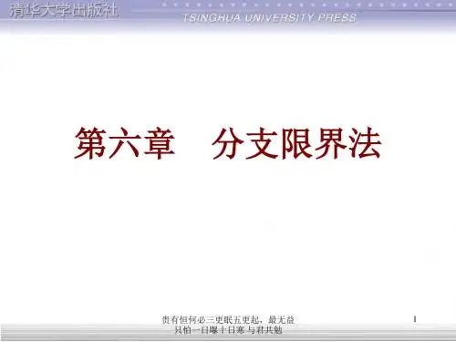 分支界法-PPT课件