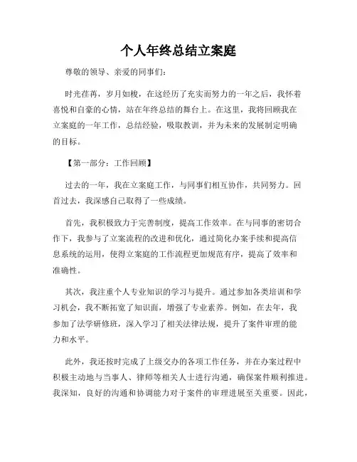 个人年终总结立案庭