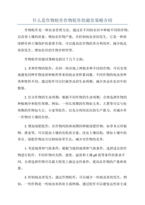 什么是作物轮作作物轮作的最佳策略介绍
