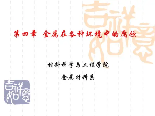 金属在各种环境中的腐蚀