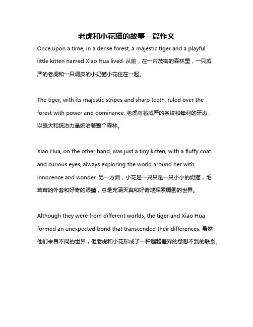 老虎和小花猫的故事一篇作文