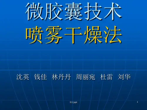 《微胶囊喷雾干燥法》PPT课件