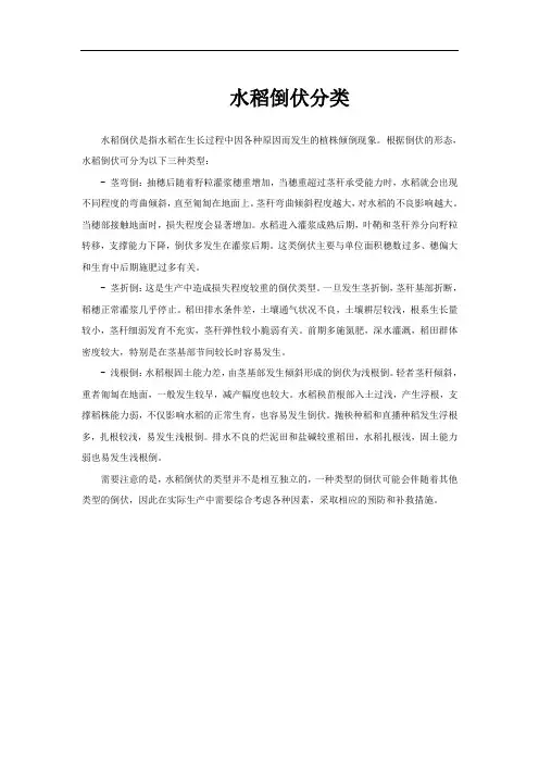 水稻倒伏分类