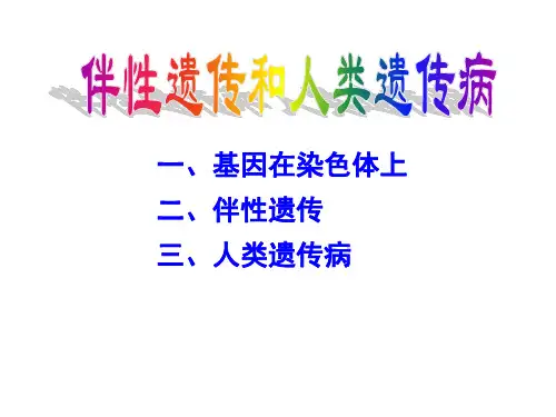 伴性遗传和人类遗传病