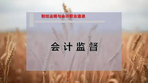 会 计 监 督
