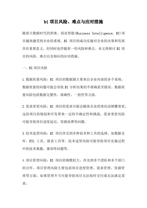 bi项目风险、难点与应对措施