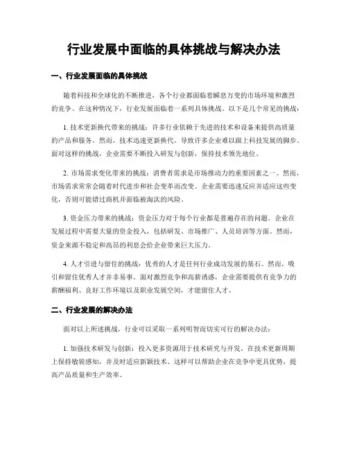 行业发展中面临的具体挑战与解决办法