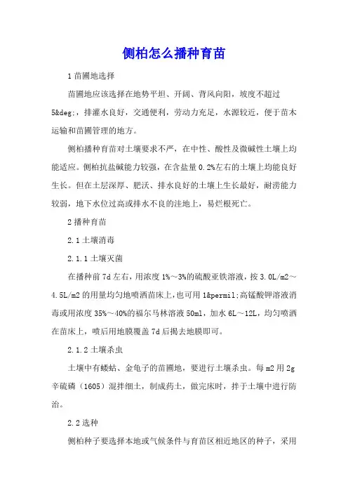 侧柏怎么播种育苗