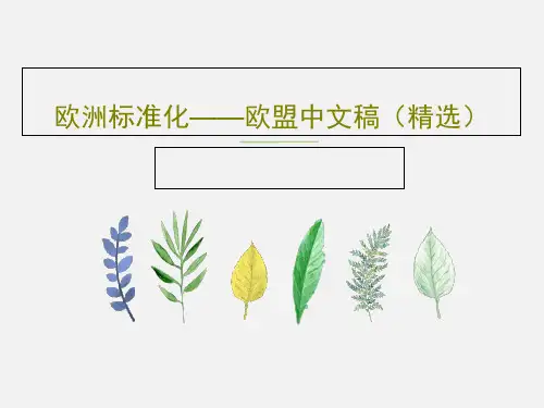欧洲标准化——欧盟中文稿(精选)PPT36页