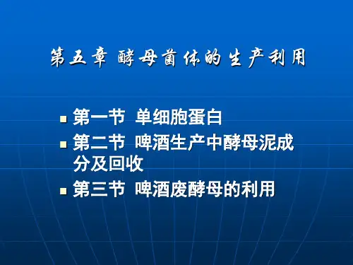 酵母菌体的生产利用