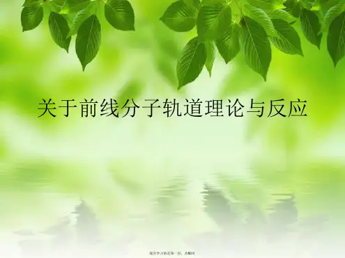 前线分子轨道理论与反应课件