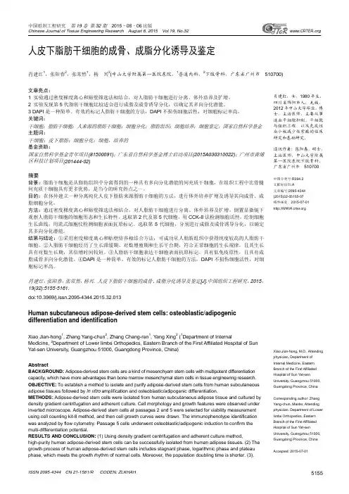 人皮下脂肪干细胞的成骨、成脂分化诱导及鉴定