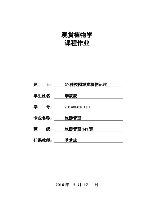 观赏植物学作业