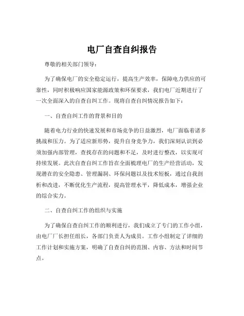 电厂自查自纠报告
