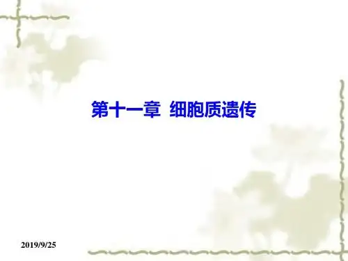 第十一章  细胞质遗传 (共117张PPT)