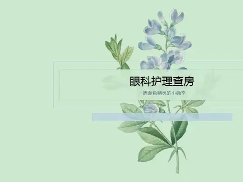 眼科护理查房
