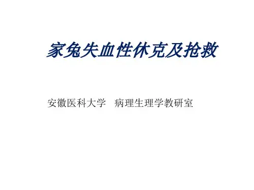 家兔失血性休克及抢救