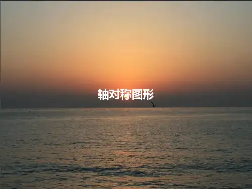 轴对称图形PPT课件