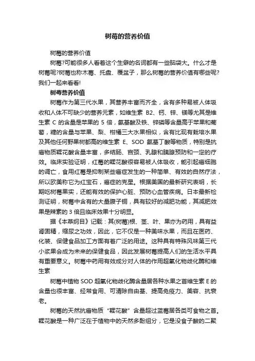 树莓的营养价值