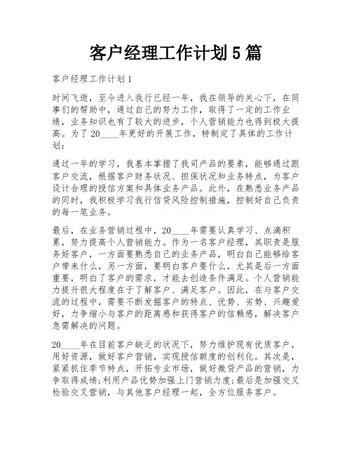 客户经理工作计划5篇