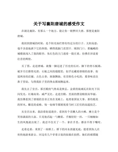 关于写襄阳唐城的感受作文