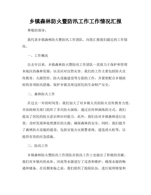 乡镇森林防火暨防汛工作工作情况汇报