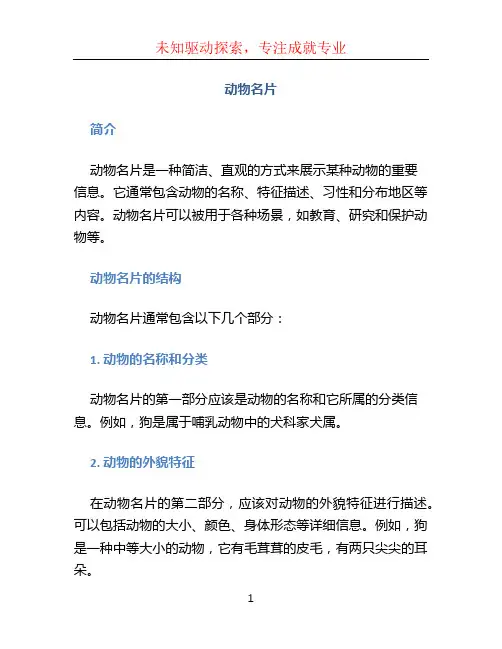 动物名片文档