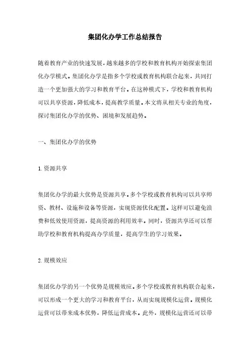 集团化办学工作总结报告