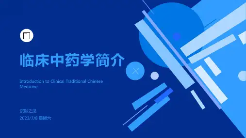 2023年临床中药学模板