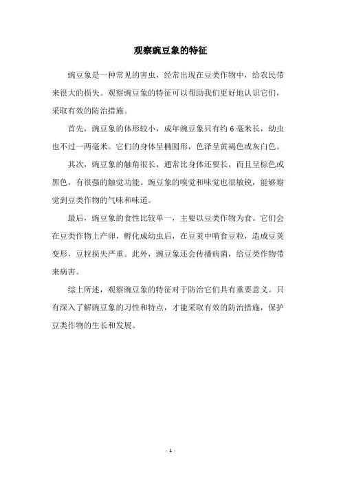 观察豌豆象的特征