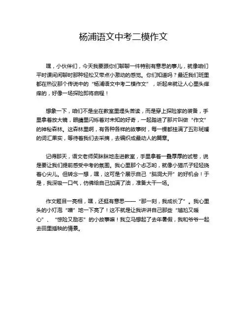 杨浦语文中考二模作文