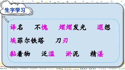 统编五年级语文下册第20课金字塔优秀课件ppt