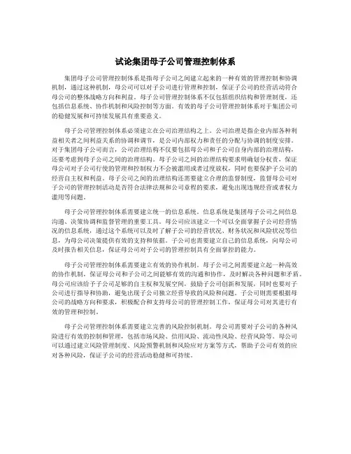 试论集团母子公司管理控制体系