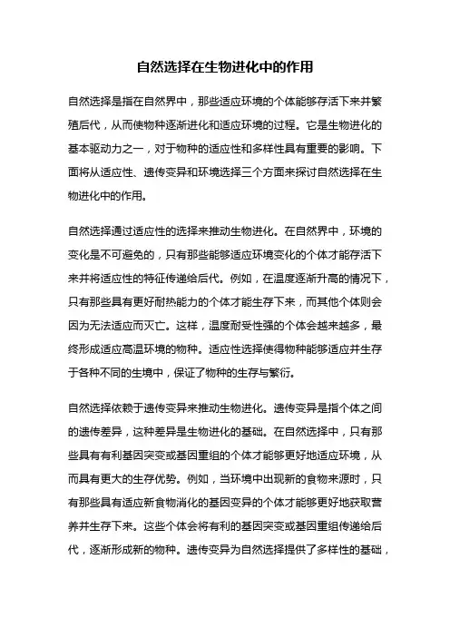 自然选择在生物进化中的作用