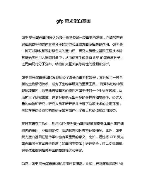 gfp荧光蛋白基因
