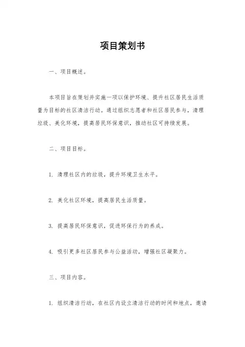 项目策划书