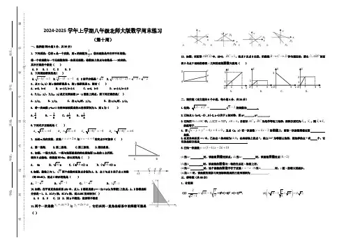 2024-2025北师大版八上数学第10周周末作业