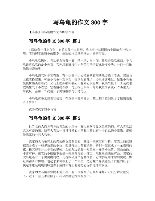 写乌龟的作文300字