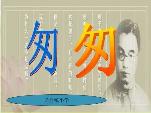 六年级语文下册2《匆匆》课件ppt