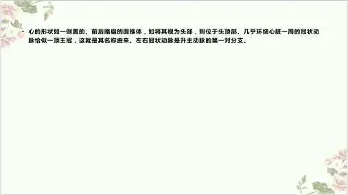 心脏冠状动脉解剖PPT.