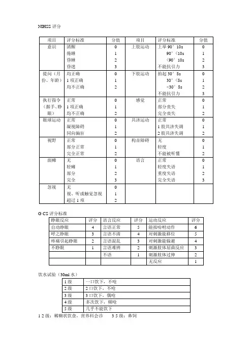 神经科常用评分