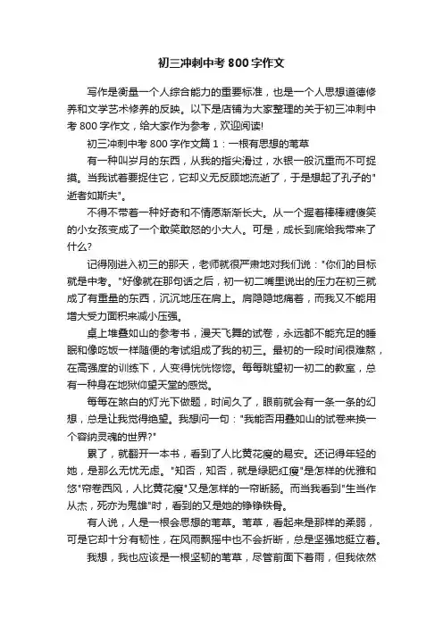 初三冲刺中考800字作文