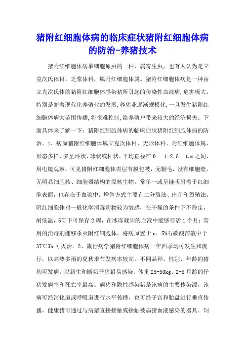 猪附红细胞体病的临床症状 猪附红细胞体病的防治 - 养猪技术