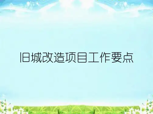 旧城改造项目工作要点