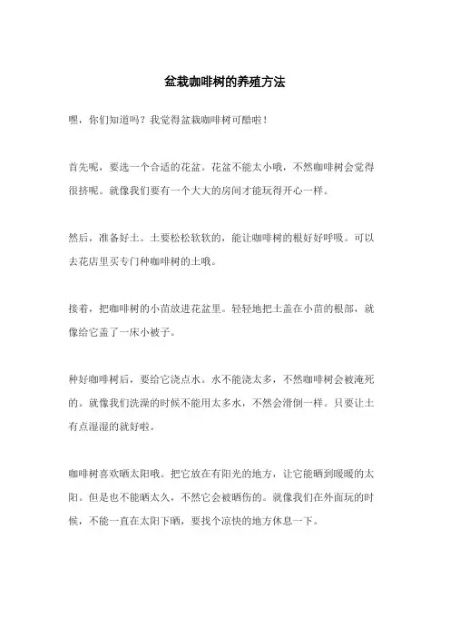 盆栽咖啡树的养殖方法